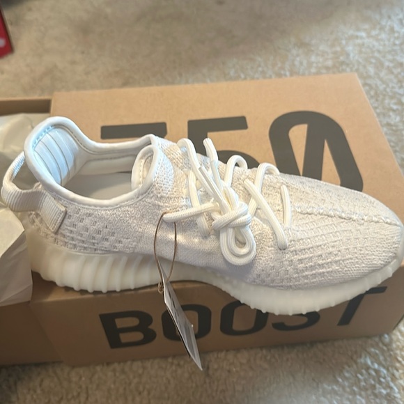 Yeezy Boost 350